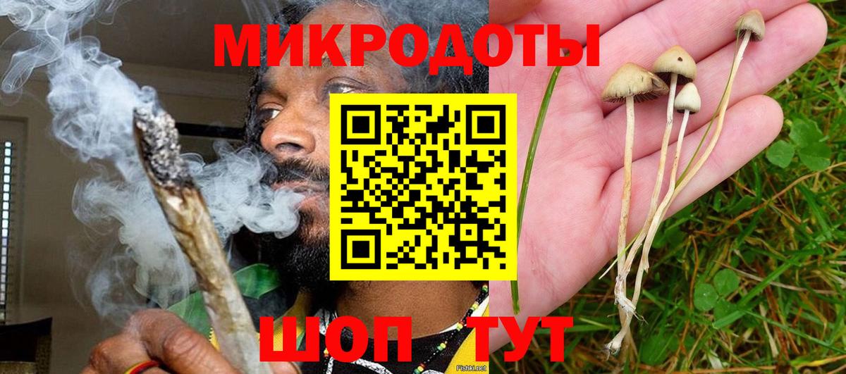 продажа наркотиков  Псилоцибиновые грибы ЛСД  Вход с VPN  Кириши 