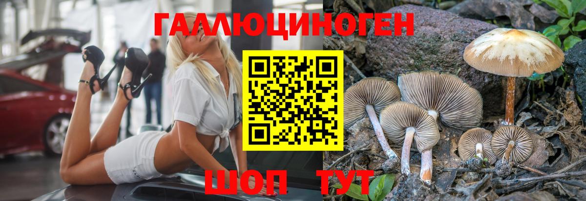 Галлюциногенные грибы мицелий Кириши